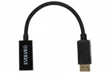 EV-DP-HDMI.jpg