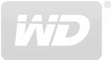logo-WD-B.jpg