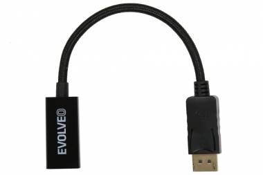 EV-DP-HDMI.jpg