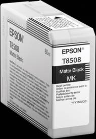 C13T85080N.jpg