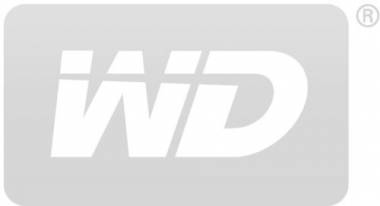 logo-WD-B.jpg